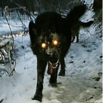 vampireskull