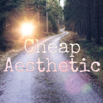 {~Cheap Aesthetic~}