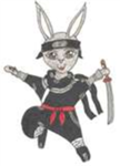The Ninja Bunnies