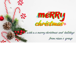 RIAAN'S GROUP