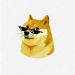 doge army/studios