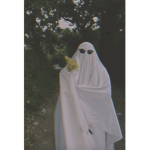 The midnight spook