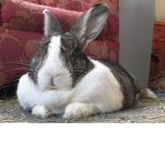 bunz <3