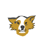 TEAM SUPER CHIEN