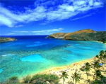 Hawaii/Tropical Places LOVERS!!!