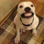 エラー