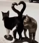 Bubblebesties