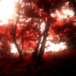 Nòctis Group Thumbnail