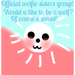 Official WOLFIE SISTERS grou