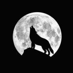 Sneakywolfs