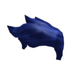True Blue Salted Pickles