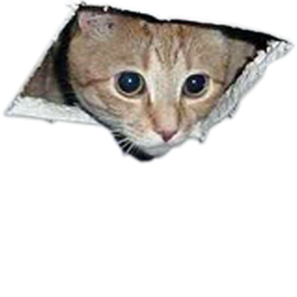 Ceiling Cat Roblox decal