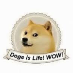 Doge Faction No. 501st