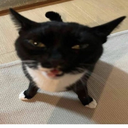 idek