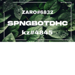 SpngBotDhc