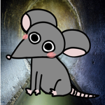 Rattie Studios