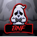 BNF (Brothers Never Fold)