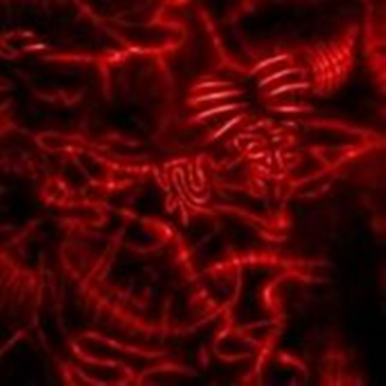 SCARIEST PLACE ON ROBLOX