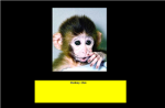 Monkey Clan