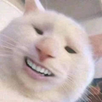 Wingcunn