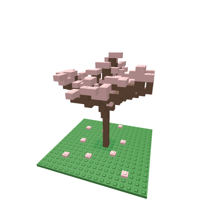 Spring Cherry Blossom tree