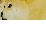 Funtime Foxies Fan Group