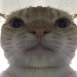 ༻❦༺
