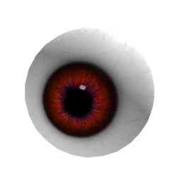 Eyeball