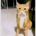 -Huh..?