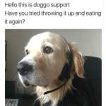 Roxy hangout