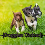 -|Doggies United|-