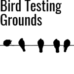 B.T.G - Bird Testing Grounds
