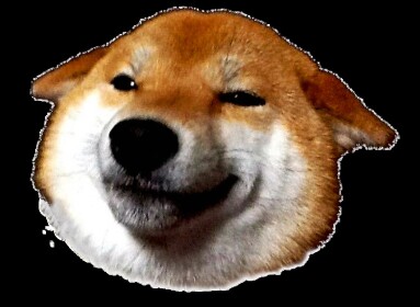 The doge games
