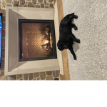 PUPPY grrrrrrrrroooooooooouuuuuuuuuuuup
