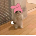 이뿐언냐들