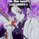 is the nest