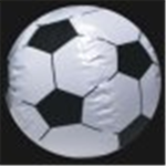 The Soccer Champions
