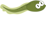 Tadpole Clothing