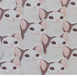 Pop cat is cute!!