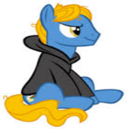 Master Hoodie Roblox decal