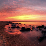 iLuvParadise