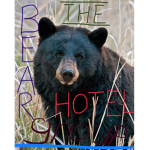 The Bear Hotel Group
