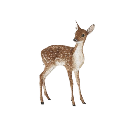 Square Two-Sided Decal