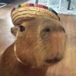Capybara Fan gang