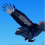 Sky Riders | Pegasus academy