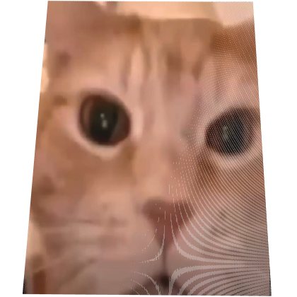 Animated Laughing Cat Cape