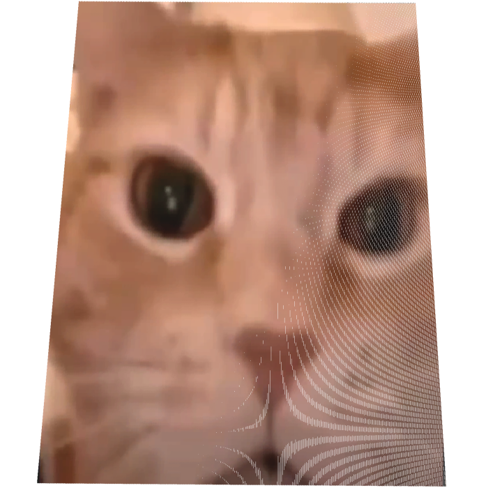 Animated Laughing Cat Cape
