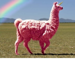 Nover's🔥Llama Squad🔥