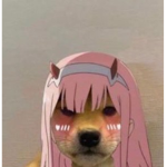 lolyounoa