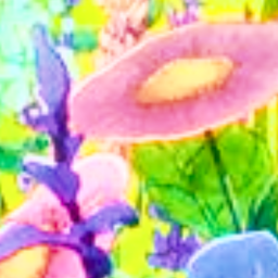 ꒰ 🌷 ꒱